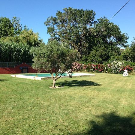 Les Jardins Du Rebaut Bed & Breakfast Béziers Dış mekan fotoğraf
